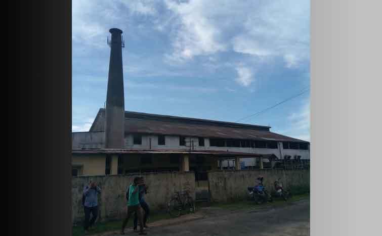 Hailakandi: Post Covid, Tea Workers of Chandipur Tea Estate, deprived since decades